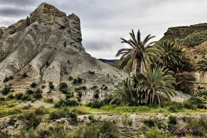 Country house Alojamiento Las Dunas Tabernas